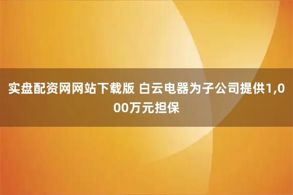 实盘配资网网站下载版 白云电器为子公司提供1,000万元担保